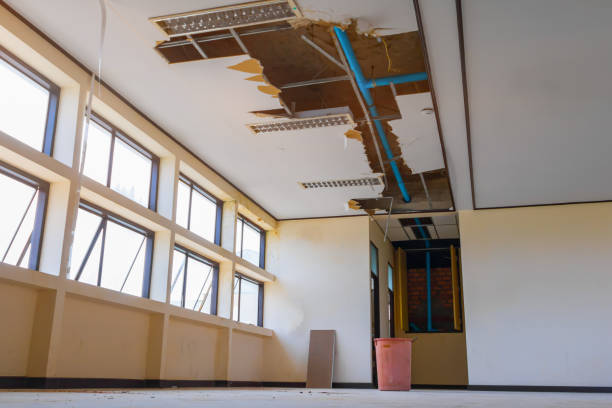 Best Flooded house restoration  in Uniontown, PA