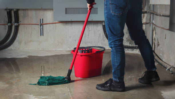 Best Flood restoration services  in Uniontown, PA