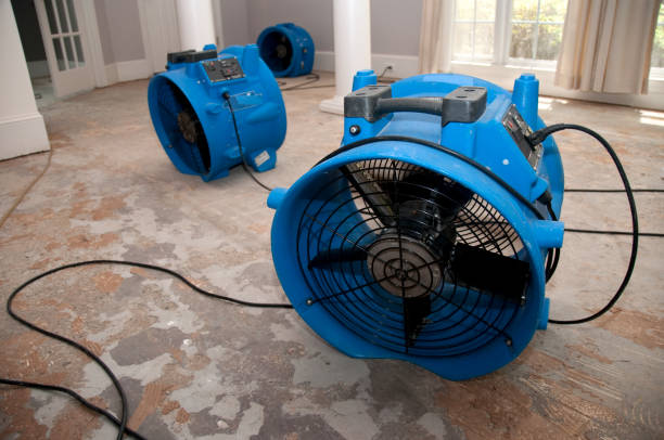 Best Water damage restoration process  in Uniontown, PA