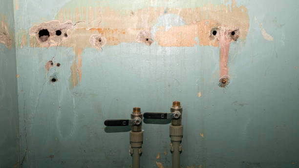 Best Mold removal after water damage  in Uniontown, PA