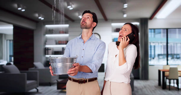 Best Water damage mitigation services  in Uniontown, PA