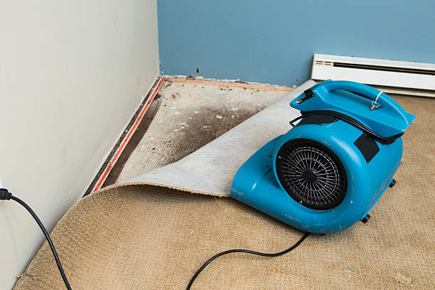 Best Water damage restoration near me  in Uniontown, PA